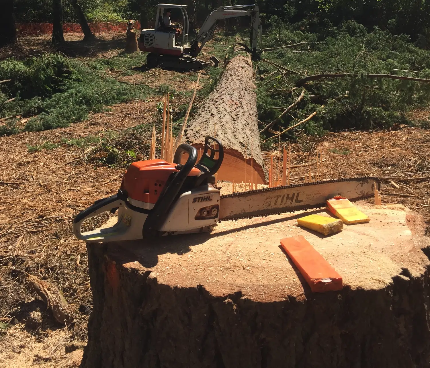 Stump with chainsaw